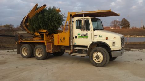 truck-with-colorado-spruce